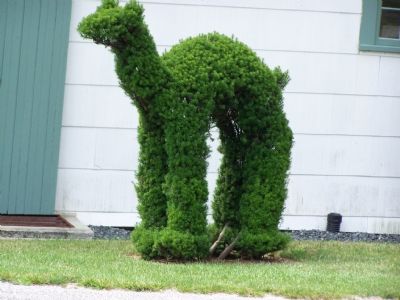 Topiary Created by Harvey Ladew image. Click for full size.