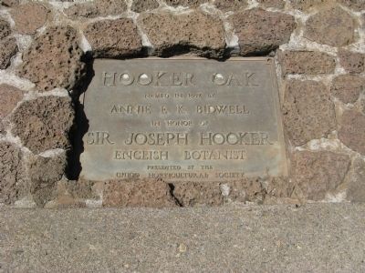 Plaque Located at the Foot of the Oak Stump image. Click for full size.