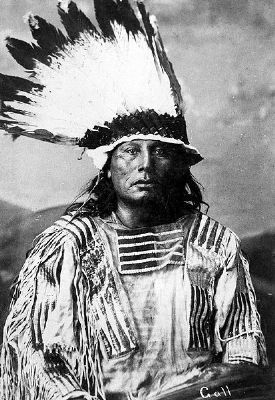 Chief Gall image. Click for full size.