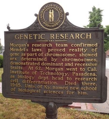 Genetic Research Marker (reverse) image, Touch for more information