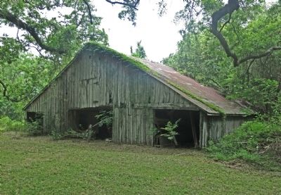 A Current Picture of the Stringfellow Orchards Barn image. Click for full size.