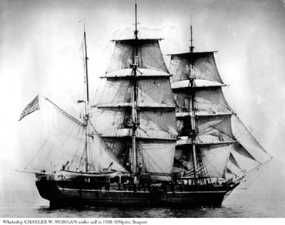 Charles W. Morgan under sail in 1920 image. Click for full size.