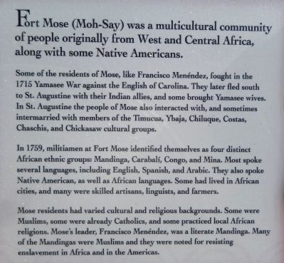 African Origins Marker (<i>center detail view</i>) image, Touch for more information