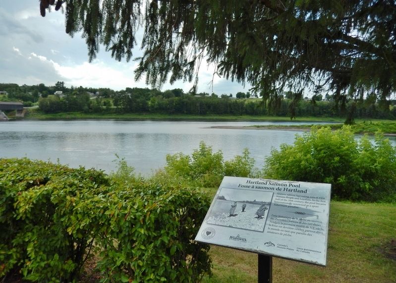 Hartland Salmon Pool Marker<br>(<i>wide view • Saint John River in background</i>) image, Touch for more information