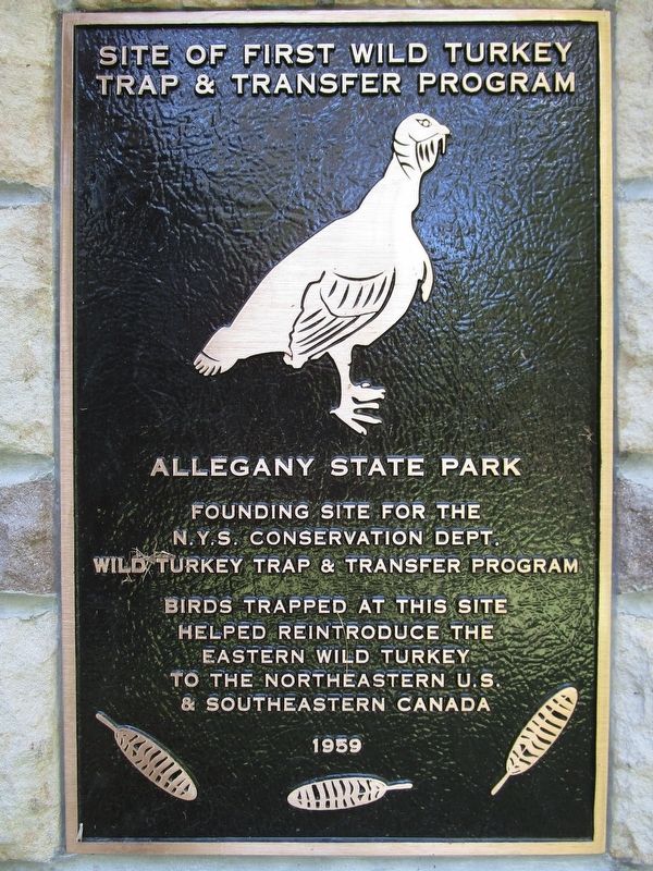 Site of First Wild Turkey Trap & Transfer Program Marker image. Click for full size.