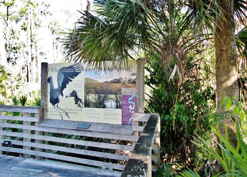 What Makes Corkscrew Swamp Special? Marker image, Touch for more information