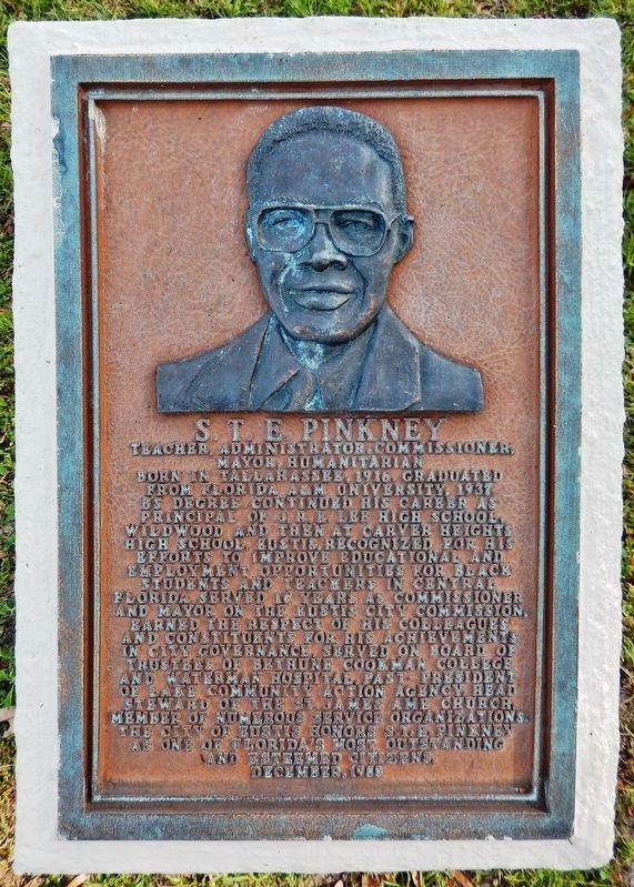 S.T.E. Pinkney Marker image. Click for full size.