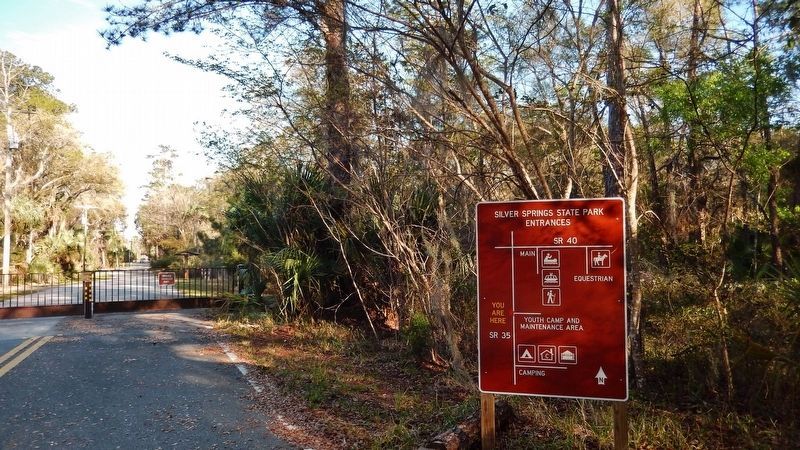 Lu Vickers and Cynthia Wilson-Graham explore the Florida attraction Paradise  Park in their book, Remembering Paradise Park.