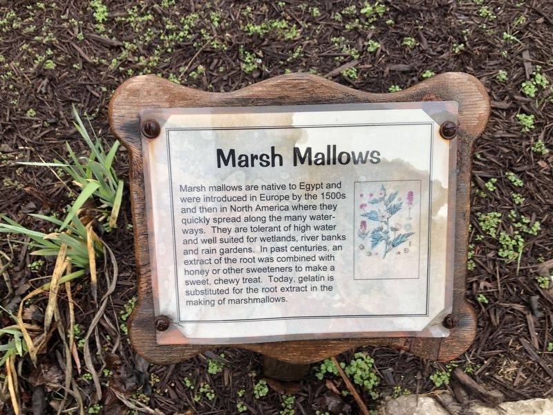 Marsh Mallows Marker image, Touch for more information