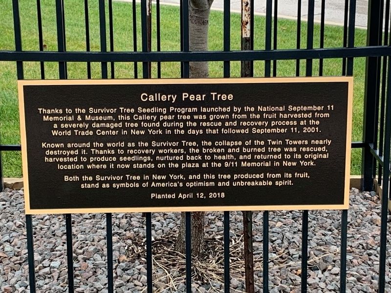 Survivor Tree Historical Marker
