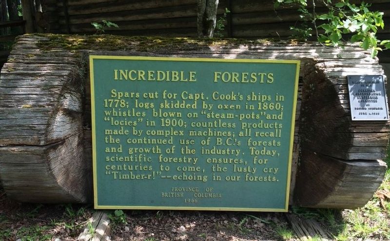 Incredible Forests Marker image, Touch for more information