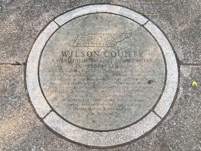 Wilson County Marker image. Click for full size.