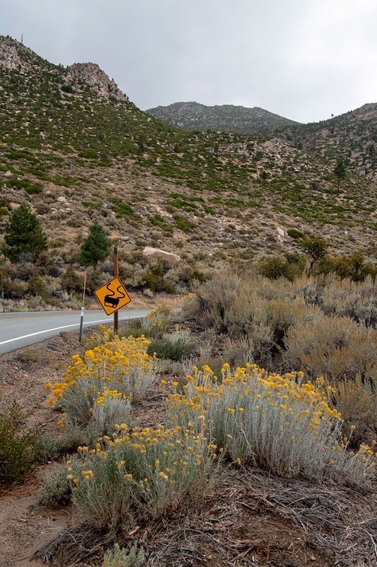 Emigrant Trail near the marker. Click for full size. Emigrant Trail near the marker image. Click for full size.