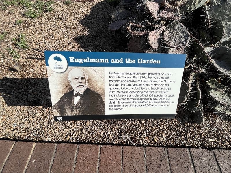 Engelmann and the Garden Marker image. Click for full size.