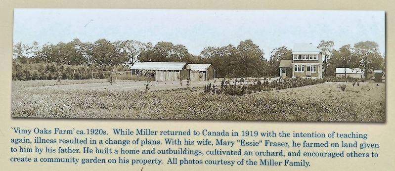 Lt. Leslie H. Miller and the Vimy Oaks marker photo detail image. Click for full size.
