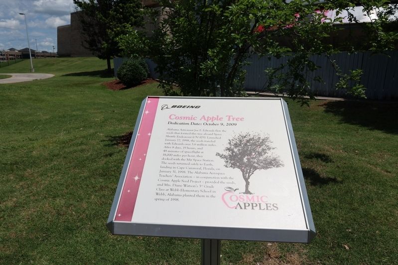 Boeing Cosmic Apple Tree Marker image. Click for full size.