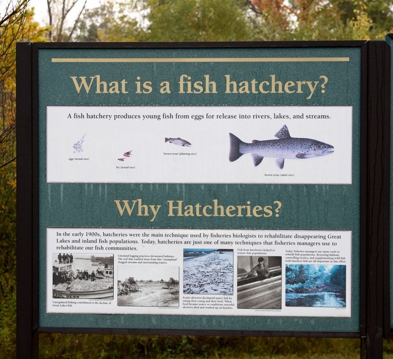 Fish Hatchery Left Panel image. Click for full size.
