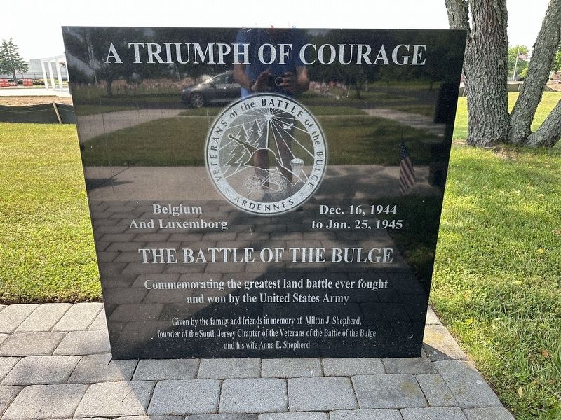 A Triumph of Courage Marker image. Click for full size.
