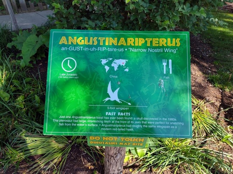 Angustinaripterus Marker image. Click for full size.