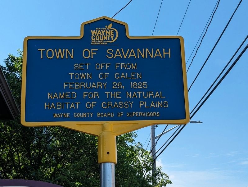 Town of Savannah Marker image. Click for full size.