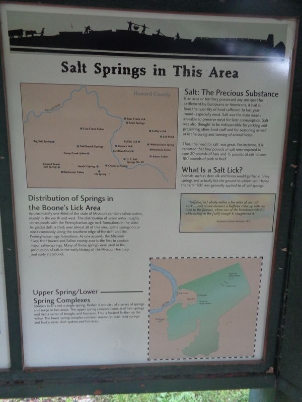 Salt Springs In This Area Marker image. Click for full size.