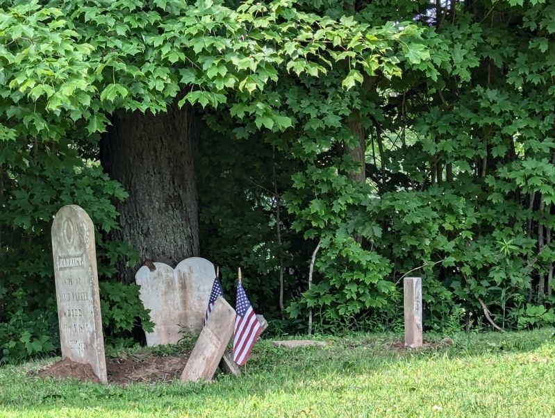 Patriot Burials gravesites image. Click for full size.