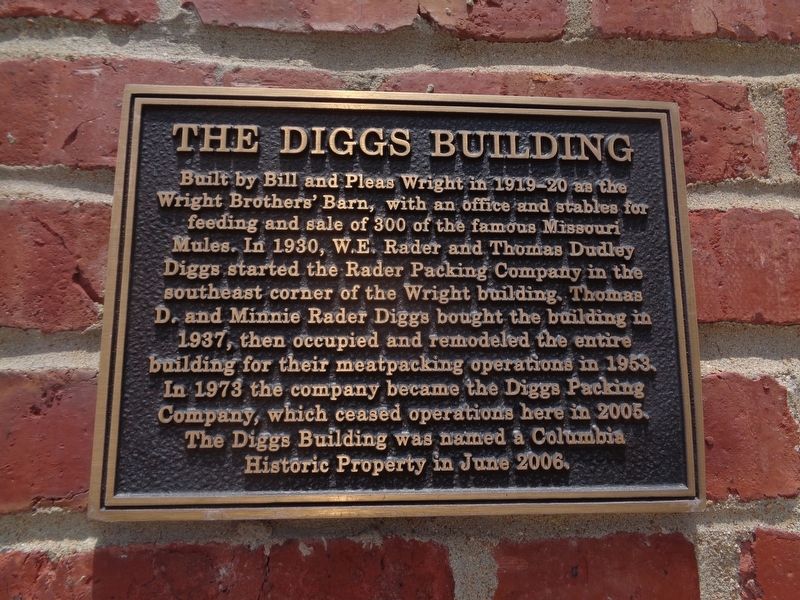 The Diggs Building Marker image. Click for full size.