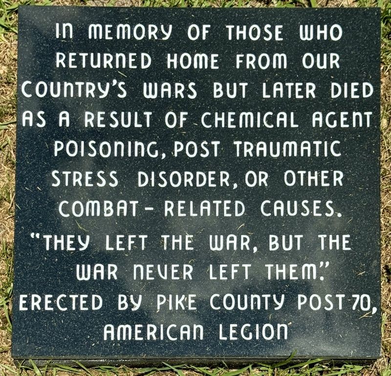 Combat Related Illnesses Marker image. Click for full size.