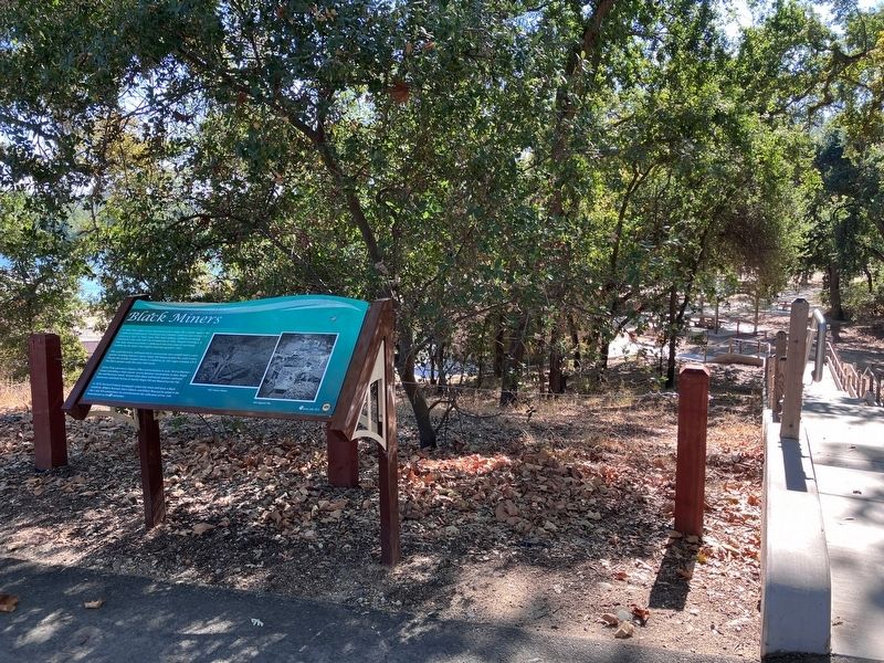 Black Miners Marker. Click for full size. Black Miners Marker image. Click for full size.