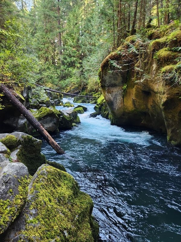 North Umpqua River gorge. Click for full size. North Umpqua River gorge image. Click for full size.