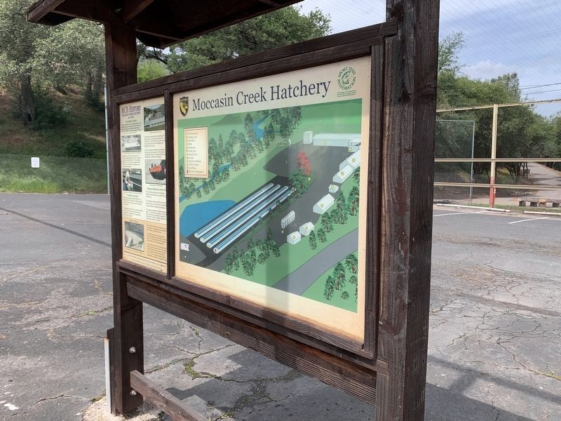 MCH History Marker. Click for full size. MCH History Marker image. Click for full size.